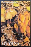 Ciuperci - Guyana 1991 - Coliță Filatelică Individuală "Coprinus Micaceus" (Ștampilat / CTO) CP1_III
