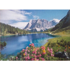 Puzzle Castorland Lac in Alpi