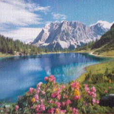 Puzzle Castorland Lac in Alpi