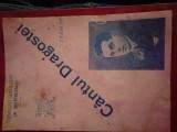 Cantul Dragostei- Sandiny, poezie princeps