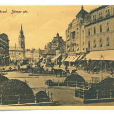 3172 - ORADEA, Market, Park, Romania - old postcard - unused - 1916