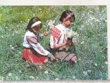 Bnk cp Negrasi ( jud Arges ) - Narcise - necirculata, Printata