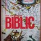 Magdalena Timar - Mic dicționar biblic