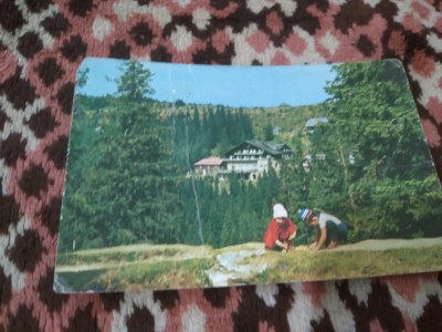CARTE POSTALA --PALTINIS CIRCULATA foto