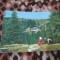 CARTE POSTALA --PALTINIS CIRCULATA
