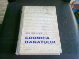 CRONICA BANATULUI - NICOLAE STOICA DE HATEG