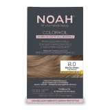 Cumpara ieftin Vopsea de par permanenta fara amoniac, 8.0 Light Blond, Color in Oil, 135 ml, Noah