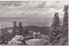 bnk cp Masivul Postavarul - Vedere spre Poiana Stalin - circulata