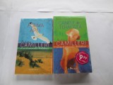 Andrea Camilleri - Caine de teracota