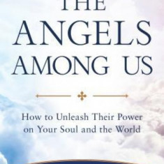 The Angels of God: The World and Work of the Angels Among Us