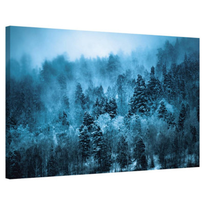 Tablou Canvas, Tablofy, Nature #3, Printat Digital, 40 &amp;times; 50 cm foto