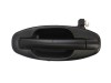 Maner Usa Spate Stanga HYUNDAI Santa Fe I (SM) 2000-2006 BLIC Vopsibil 6010-20-021403P