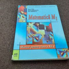 Marcel Tena, Marian Andronache,, Matematica M1. Manual pentru clasa a XI-a,R13/0