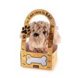 Figurina Catelus plus multicolor in cutie cadou III cm 15 x 18 x 19 H