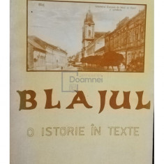 Teodor Seiceanu - Blajul - O istorie in texte (editia 1993)