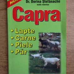 Dorina Stefanache - Capra în gospodărie sau fermă