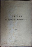 CORNELIA BUZDUGAN-HASEGANU:CHENAR PE MARGINEA RAZBOIULUI1942/DEDICATIE V.STREINU