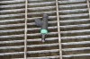 Injector de combustibil AUDI A6 4B2, C5 2004 OEM: 06C133551 11206807