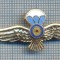 AX 771 INSIGNA - SEMN DE ARMA PARASUTISTI -PENTRU COLECTIONARI