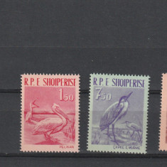 Albania (Shqiperise) 1961-Fauna,Pasari,serie 3 val.MNH,Mi.630-632