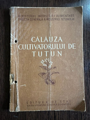 Calauza cultivatorului de tutun foto