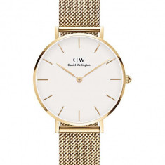 Daniel Wellington ceas Petite 32 Evergold femei, culoarea auriu