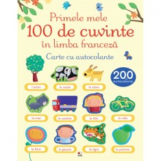 Primele 100 De Cuvinte In Limba Franceza. Carte Cu Autocolante foto