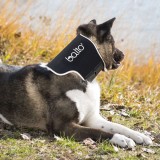 Balto - Bandă de găt pentru c&acirc;ini și pisici S