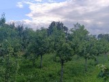 Teren intravilan