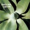 CD Depeche Mode - Exciter 2007