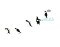 Foto  - 1