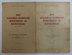 DIN GALERIA MARILOR DIISPARUTI AI BANATULUI ( FIGURI REPREZENTATIVE ) , VOLUMELE I - II de AUREL E. PETEAN , 1934 - 1935 foto