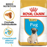 Cumpara ieftin Royal Canin Pug Puppy hrana uscata caine junior, 1.5 kg