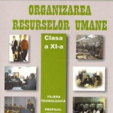 Organizarea resurselor umane clasa a XI-a