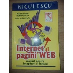 Internet si pagini Web- Marcel Andrei Homorodean, Irina Iosupescu