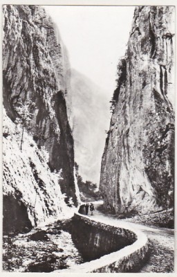bnk cp In cheile Bicazului - Vedere - circulata foto