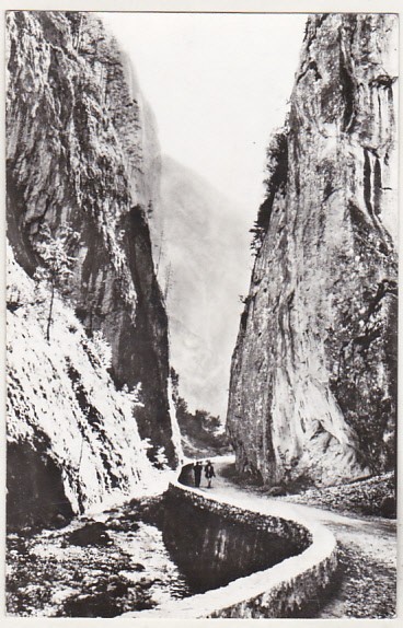 bnk cp In cheile Bicazului - Vedere - circulata