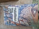 Imprecatorul vintage