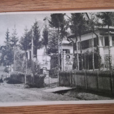 anii 50 Carte Postala Poiana Tapului, Case de Odihna RPR Comunism Prahova