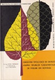 Stefan Purcelean, S. Pascovschi - Cercetari tipologice de sinteza asupra