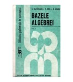 colectiv - Bazele algebrei - vol. I - 110338