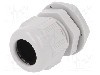 Presetupa poliamida, M25, IP68, RITTAL - 2411.631