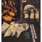 S. P. Tolsotv - Etnografia continentelor, vol. 1 si vol. 2 partea I si II (Editia: 1959)