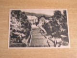 QW24 G - Carte postala - tematica turism - vedere - Govora 12