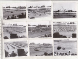 Bnk foto Lot 35 foto 8 Iunie 1939 Ziua Restauratiei - Stadion ANEF - strajerie, Alb-Negru, Romania 1900 - 1950, Monarhie