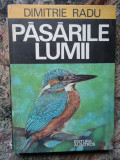 PASARILE LUMII-DIMITRIE RADU