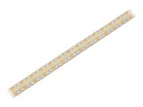 Bandă LED Neutru 12V IP65 240 LED/m 12mm