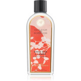 Ashleigh &amp; Burwood London Winter Rose &amp; Jasmine rezervă lichidă pentru lampa catalitică 500 ml