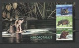 BOTSWANA 2023 FAUNA HIPOPOTAMI