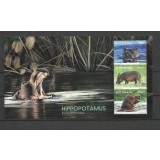 BOTSWANA 2023 FAUNA HIPOPOTAMI
